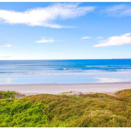 Cabbage Tree - Summer Or Winter Beachfront Haven パパモア エクステリア 写真