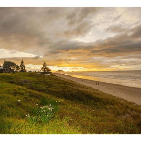 Cabbage Tree - Summer Or Winter Beachfront Haven パパモア エクステリア 写真