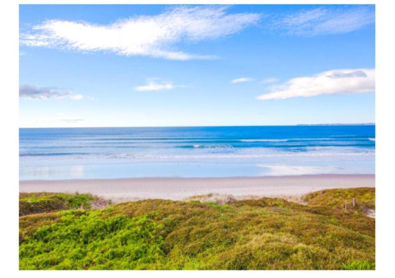 Cabbage Tree - Summer Or Winter Beachfront Haven パパモア エクステリア 写真