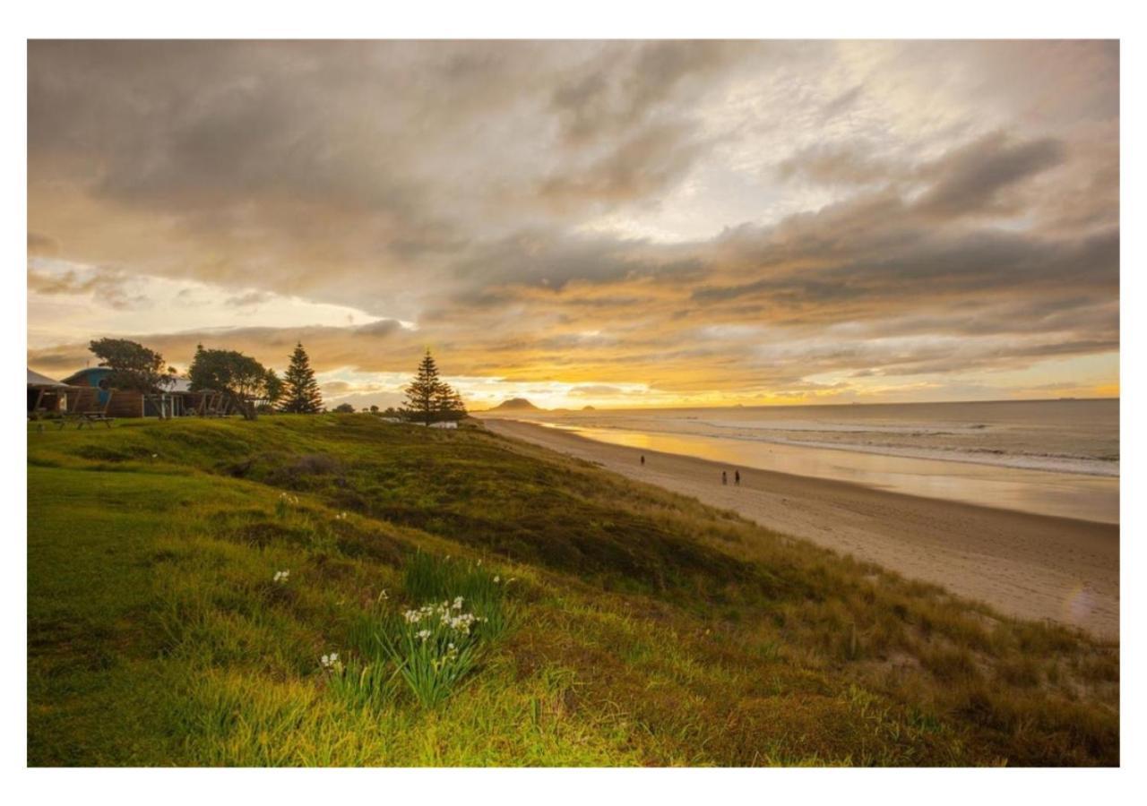 Cabbage Tree - Summer Or Winter Beachfront Haven パパモア エクステリア 写真